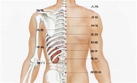 右後背有痣|【右背有痣】獲取財運長壽，右背隱藏秘密！